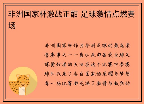 非洲国家杯激战正酣 足球激情点燃赛场